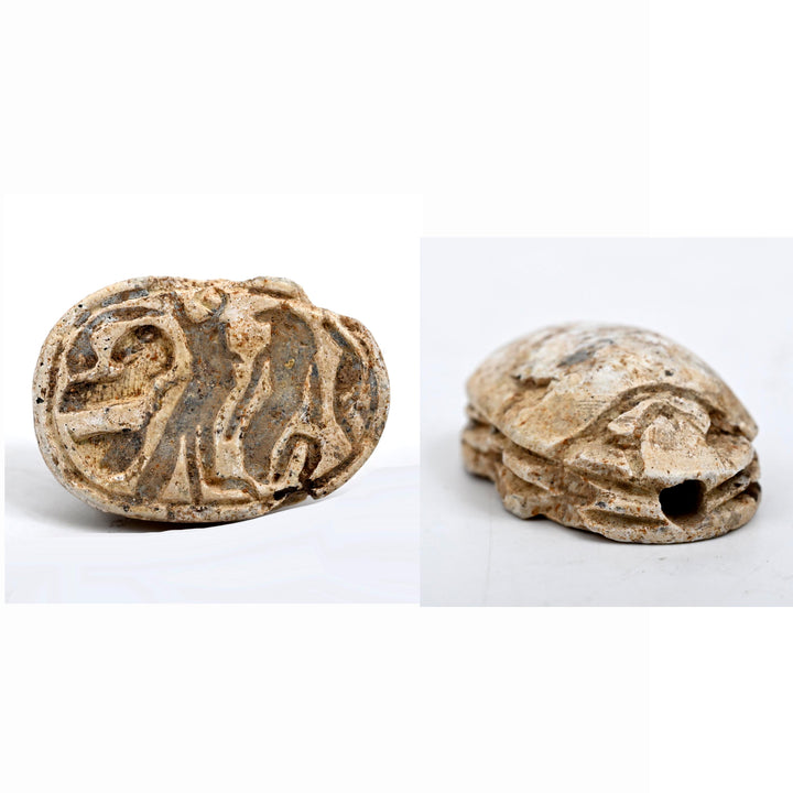 Egyptian Tan Steatite Inscribed Scarab for Protection