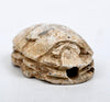Egyptian Tan Steatite Inscribed Scarab for Protection
