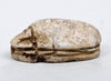 Egyptian Tan Steatite Inscribed Scarab for Protection