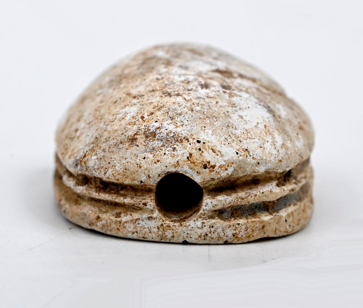 Egyptian Tan Steatite Inscribed Scarab for Protection