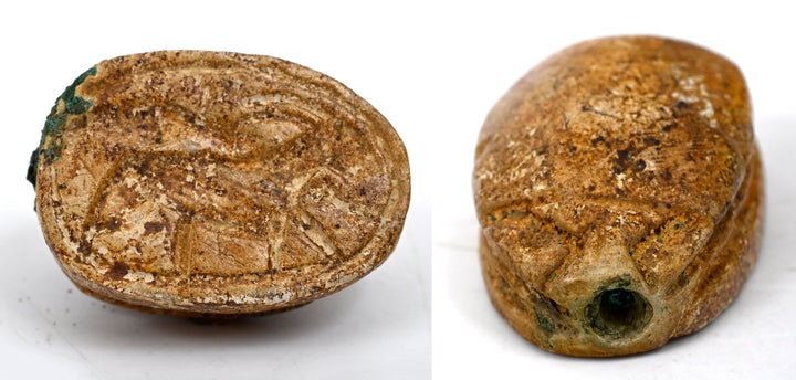 Egyptian Steatite Scarab with Gazelle