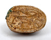 Egyptian Steatite Scarab with Gazelle