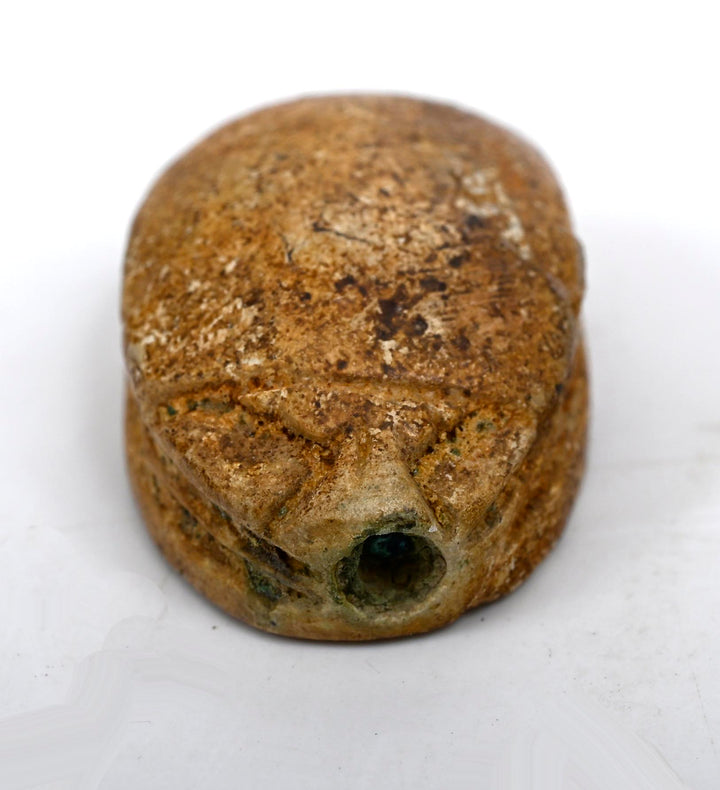 Egyptian Steatite Scarab with Gazelle