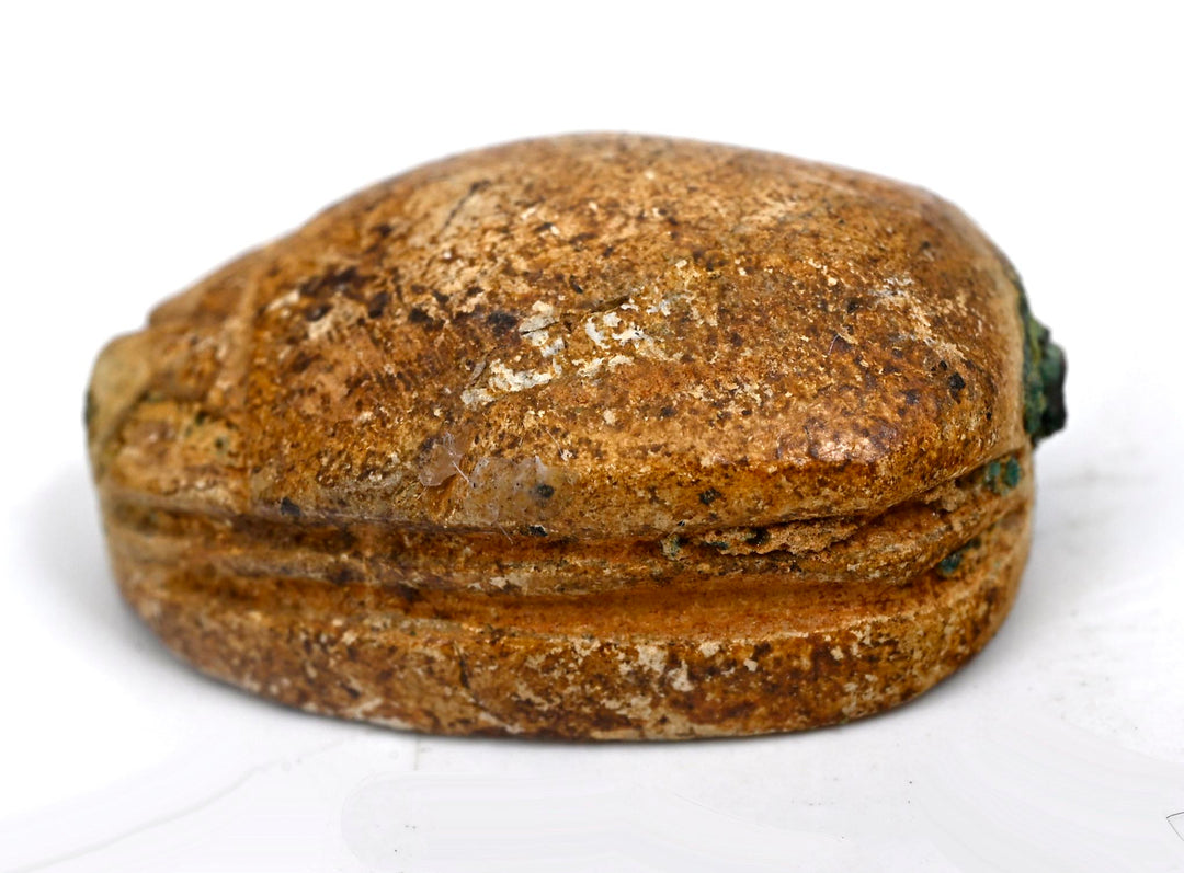 Egyptian Steatite Scarab with Gazelle