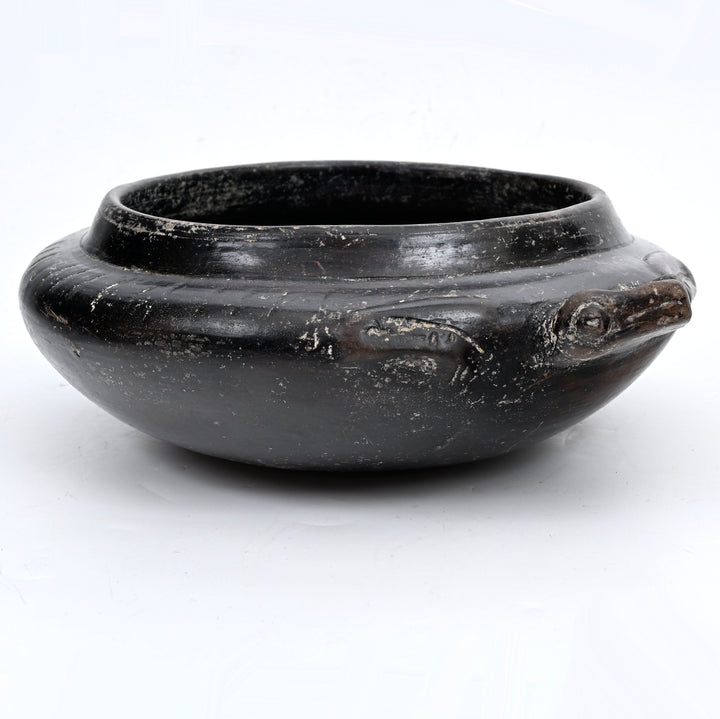 Colima Blackware Frog Effigy Bowl