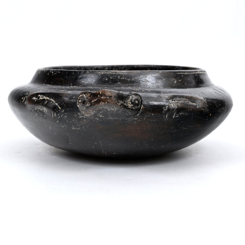Colima Blackware Frog Effigy Bowl
