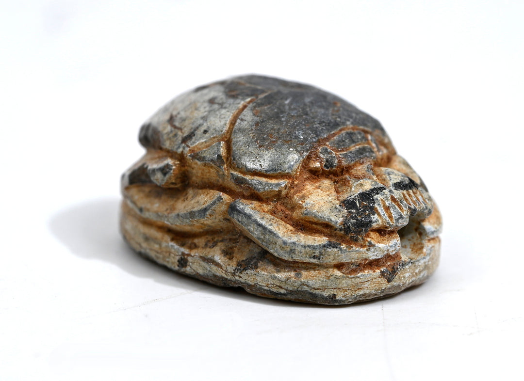 Egyptian Tan Steatite  Scarab for Thutmose III