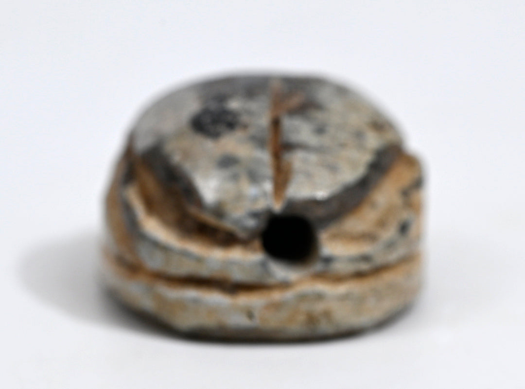 Egyptian Tan Steatite  Scarab for Thutmose III