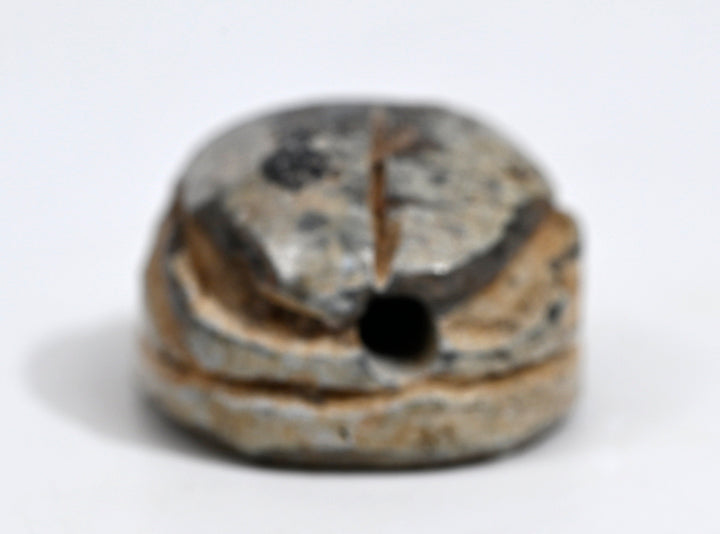 Egyptian Tan Steatite  Scarab for Thutmose III