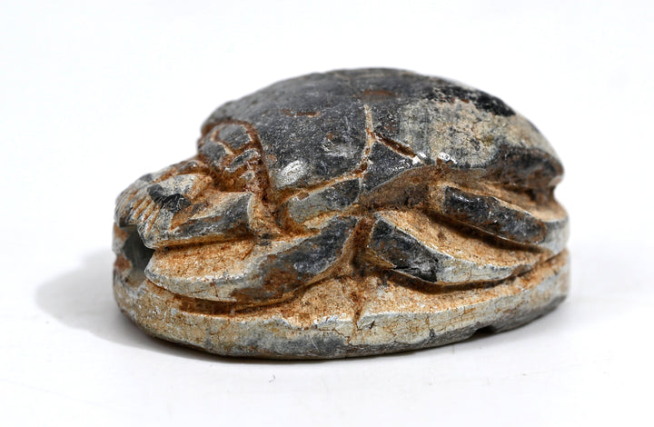 Egyptian Tan Steatite  Scarab for Thutmose III