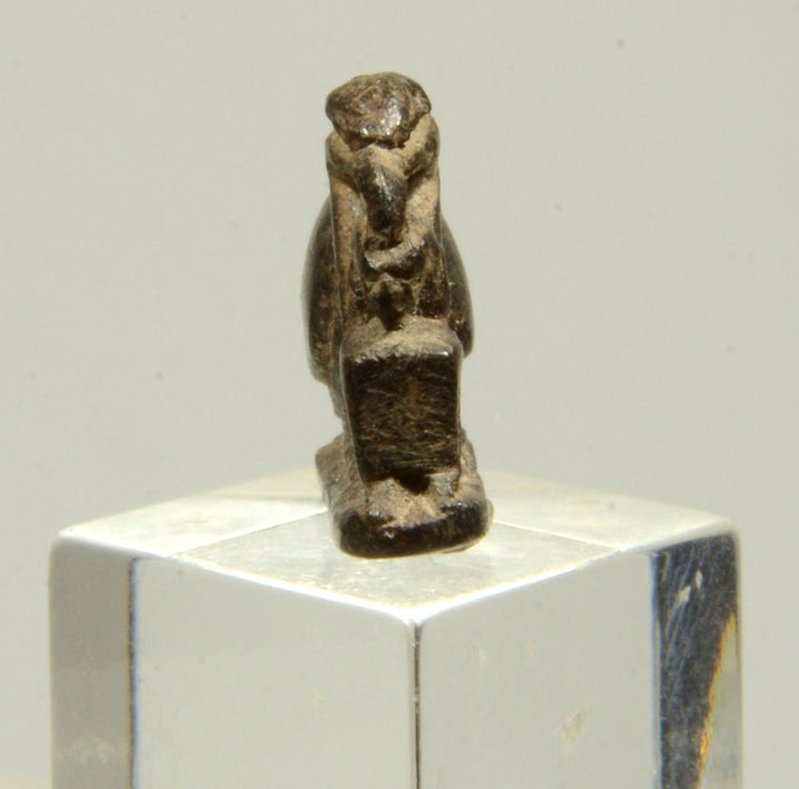 Egyptian Steatite Divine Ibis Amulet