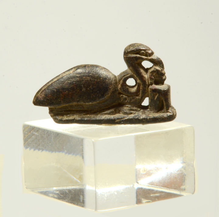 Egyptian Steatite Divine Ibis Amulet