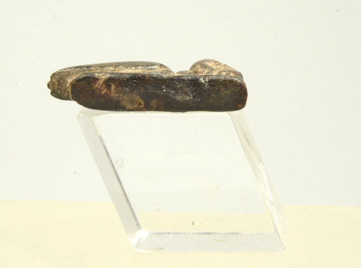 Egyptian Steatite Divine Ibis Amulet