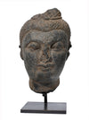 Ancient Gandharan Grey Schist Head of Buddha