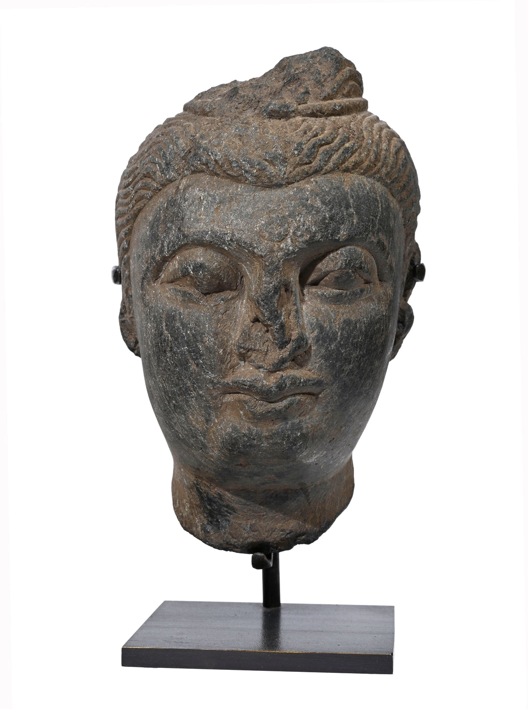 Ancient Gandharan Grey Schist Head of Buddha