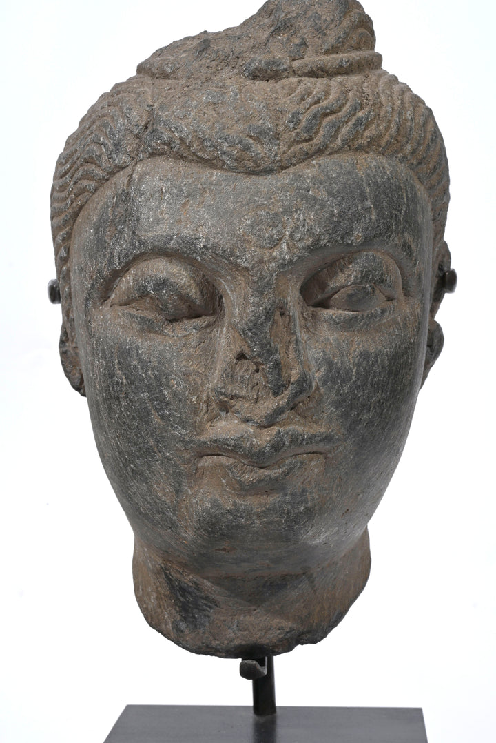 Ancient Gandharan Grey Schist Head of Buddha