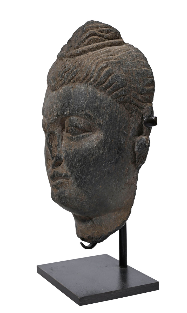 Ancient Gandharan Grey Schist Head of Buddha