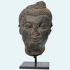 Ancient Gandharan Grey Schist Head of Buddha