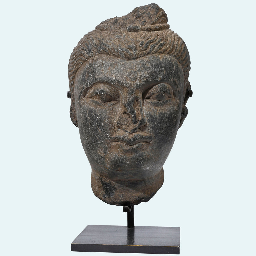 Ancient Gandharan Grey Schist Head of Buddha