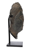 Ancient Gandharan Grey Schist Head of Buddha