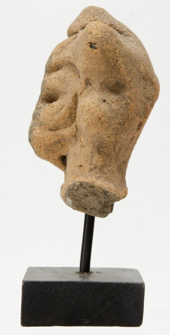 Pre Columbian Taino Indian Pottery Heads (10)