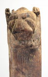 Egyptian Wood Lion Formed Furniture Leg
