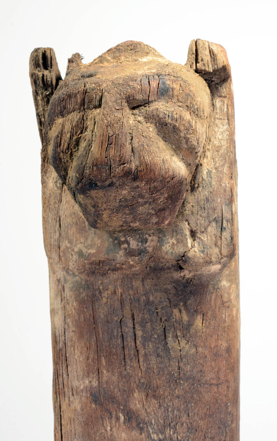 Egyptian Wood Lion Formed Furniture Leg