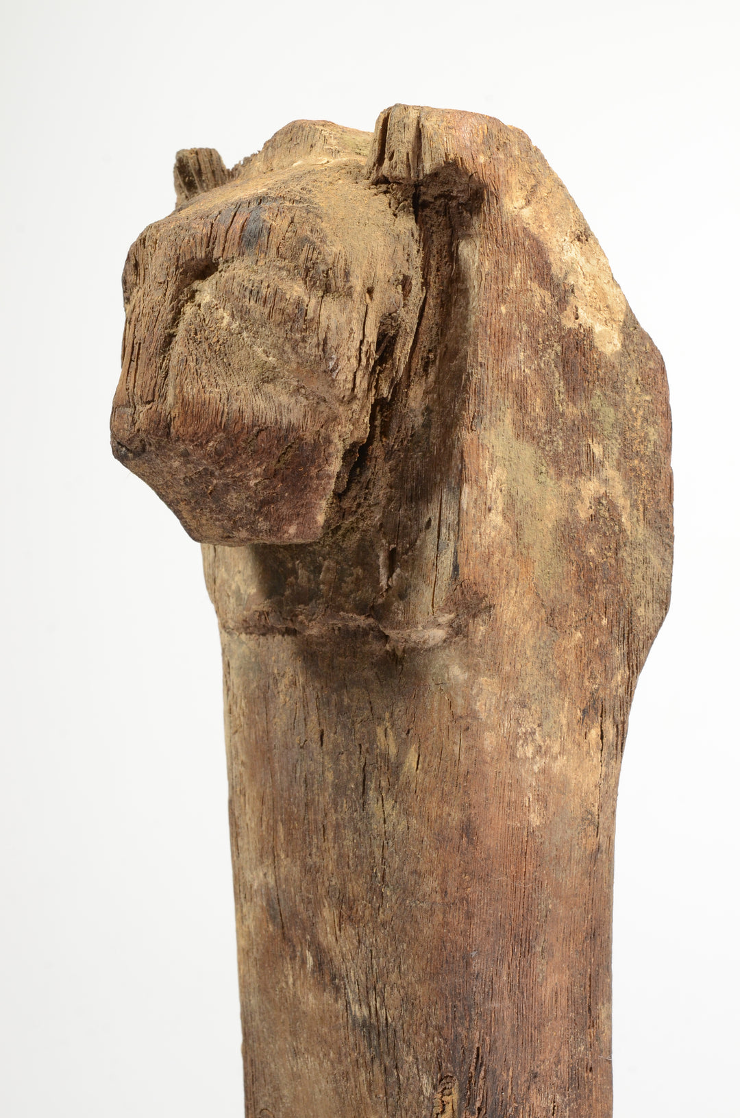 Egyptian Wood Lion Formed Furniture Leg